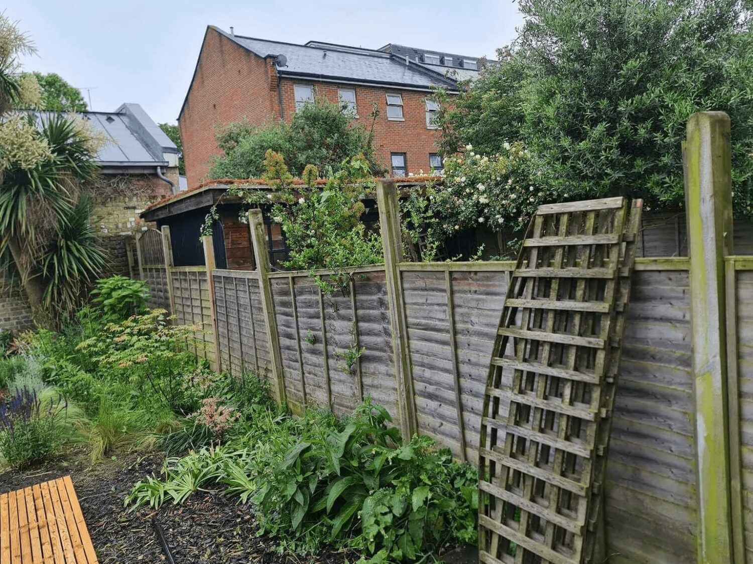 Old Wooden Fence Backyard Garden